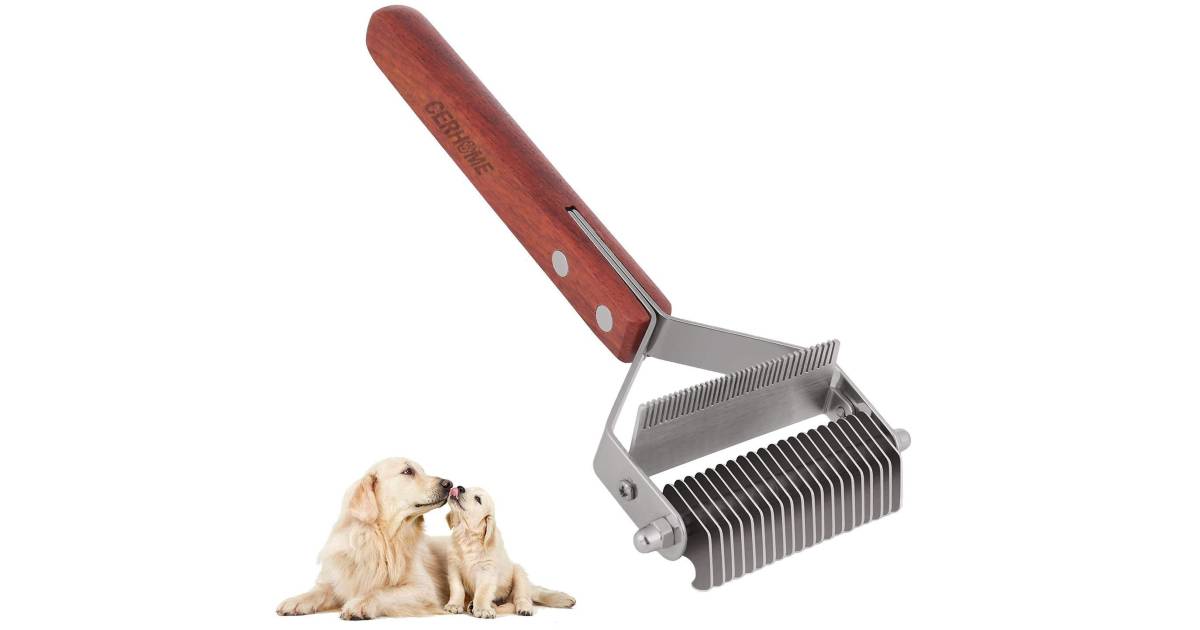 Cepillo para Perritos