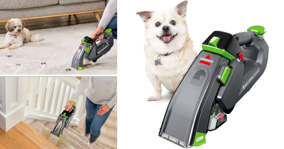 BISSELL Pet Stain Eraser Plus Portable Carpet Cleaner
