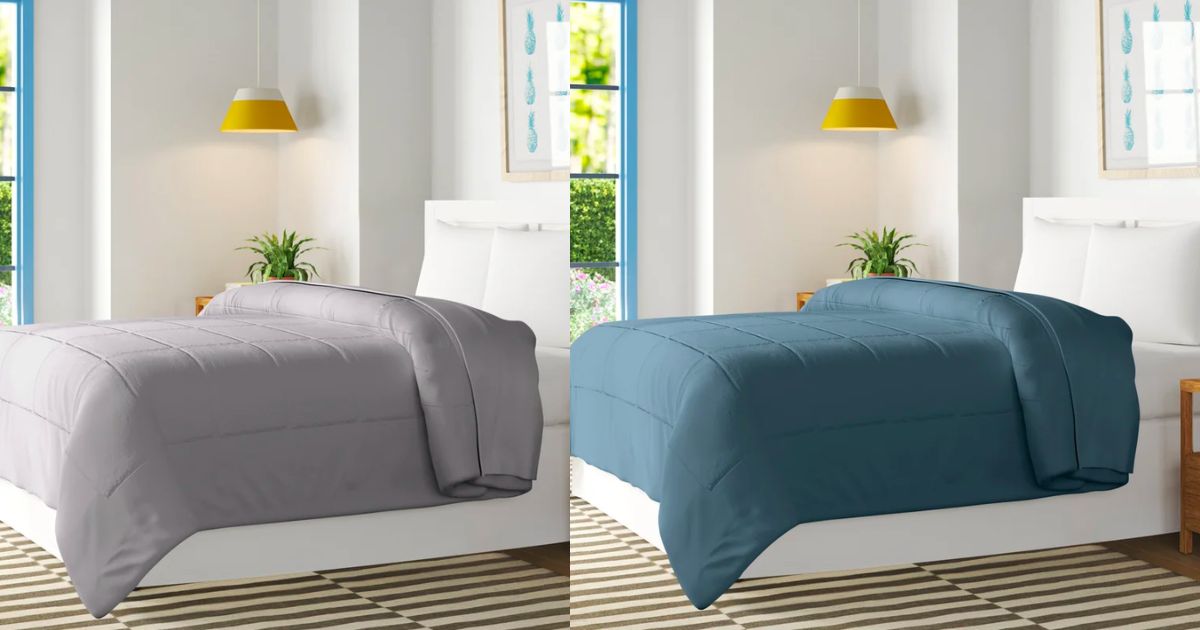 Comforters-Wayfair-Basics-1800-Series-All-Season-Polyester-Down-Alternative 